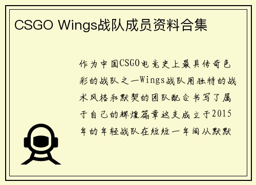CSGO Wings战队成员资料合集
